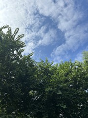 83DA77A0-0D5D-4FCF-91CA-E9C4085D549E/L0/001