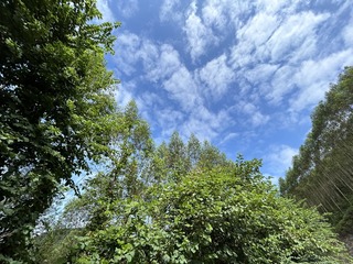 E0614D26-C3EA-4E96-83B9-5916A2055D95/L0/001