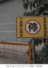 40036