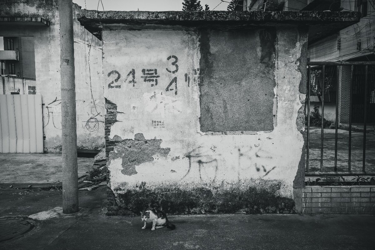 734531222.jpg