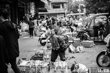 跳舞鸭。