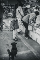 只因为在人群中多看了你一眼...