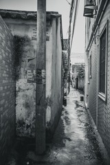 雍陌