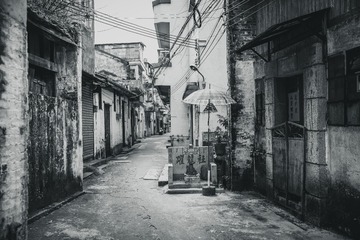 跃龙社