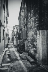 雍陌