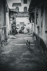 异乡人