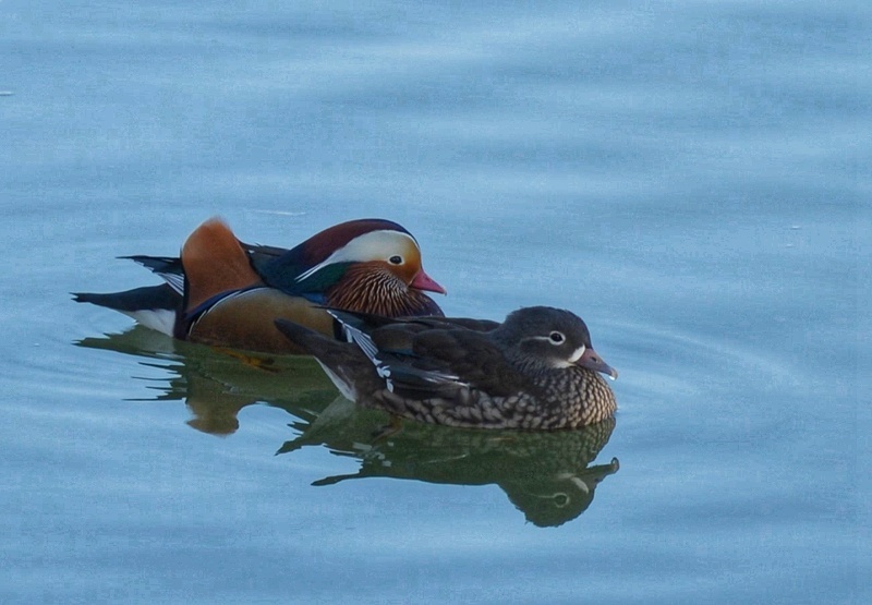 相依相守,相伴前行