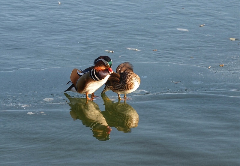 相依相守,相伴前行