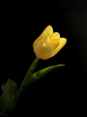 5E6D3745-725B-4B9F-B71C-B23FED08990F/L0/001