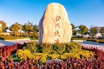 767638