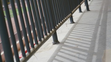 660663