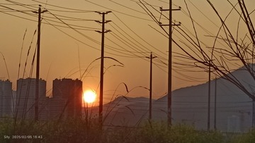 1000063426