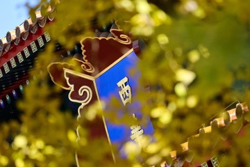 5FA12E1D-19E9-45C9-964A-0A6D85289787/L0/001
