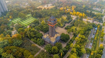 10478630