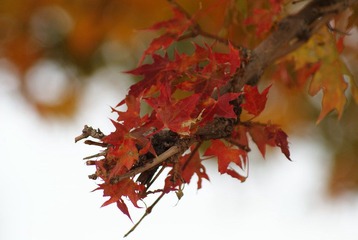 DSC04160.JPG