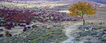 IMG_7213a