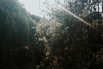 3066874