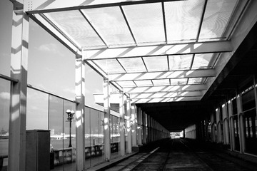 SDIM0820