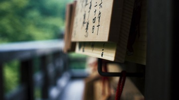 PS_DSC6886