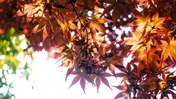 PS_DSC6698