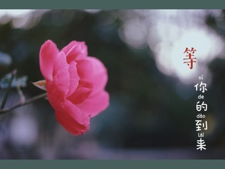 E0953F28-610C-42A6-906E-01B10E2AEAF5/L0/001