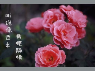 6A2FAF14-1598-4275-BCD6-881457358CD4/L0/001