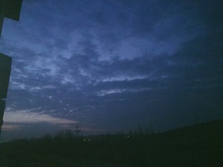 1251130