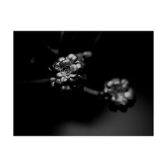 59896DF9-806D-41C9-8E6E-011C738FE13F/L0/001