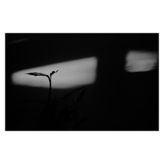D46DE725-135D-4CBF-B634-9CF797BF0F27/L0/001