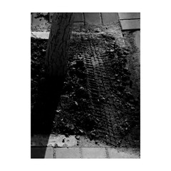 F5946AA9-9208-4F8C-B26A-6D2FC5B1976D/L0/001