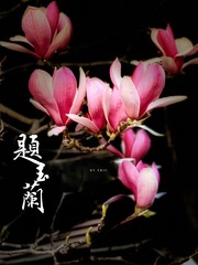 C4C2577F-DE88-473E-9360-B5A2646955C6/L0/001