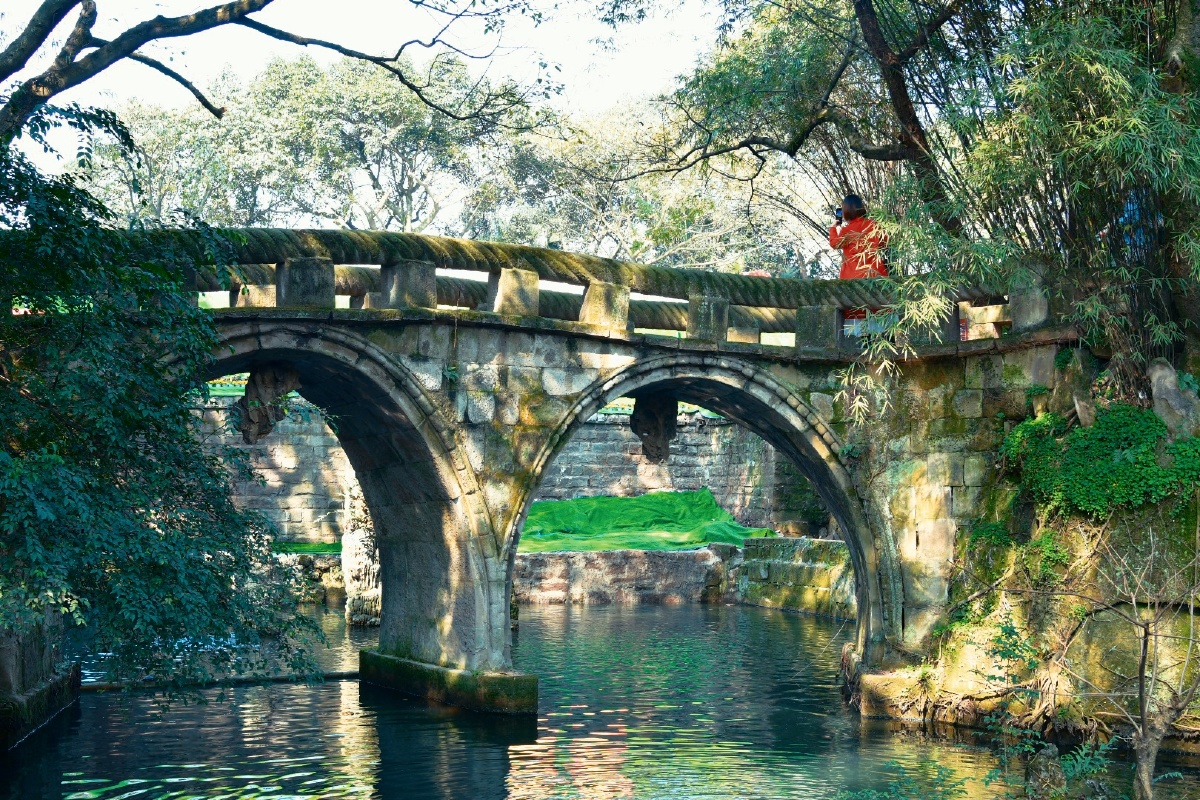 重庆鹅岭公园石廊绳桥茶花腊梅组成的靓丽风景