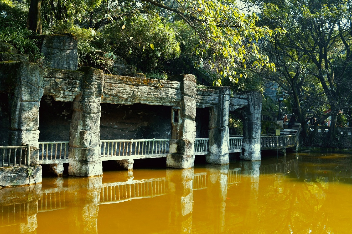 重庆鹅岭公园石廊绳桥茶花腊梅组成的靓丽风景