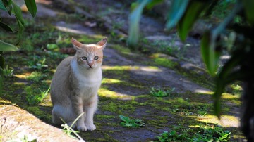 _DSC0283