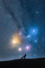 36113