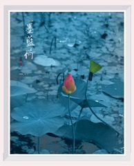 4ECAA940-1A57-46FF-A029-3416FCCF14A8/L0/001