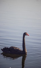 5676205
