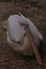 70298