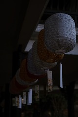 BF66211F-E29C-48FC-9D88-72DF1E0A1B9D/L0/001