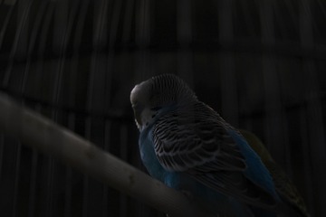 1E35D9EB-00A9-4A4D-A454-35EC64BA4BB3/L0/001