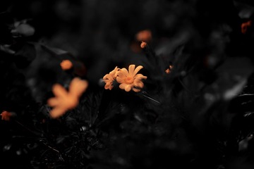 61916B24-0F37-4752-8FD2-132B2A40CEBA/L0/001