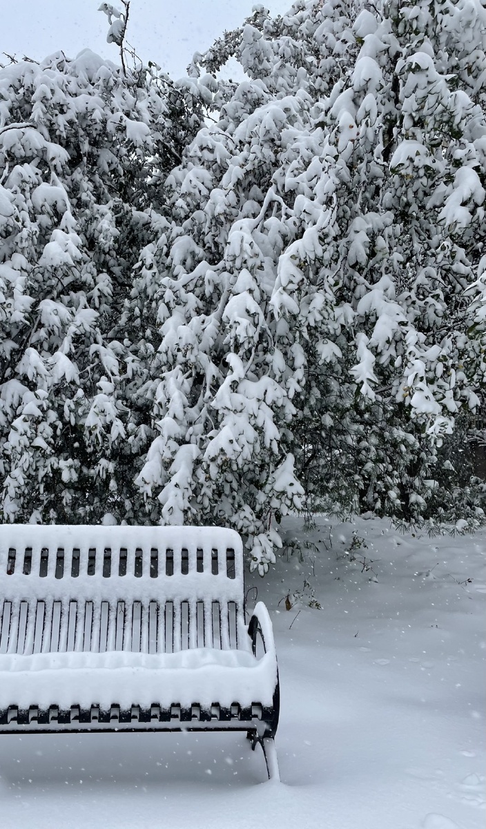 2021年的第一场雪76