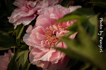 BB1EF747-4D90-459C-AA0B-BB1BF4060182/L0/001