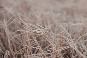 6A3A61A0-9DEE-4B06-80F5-8117A0228DFB/L0/001