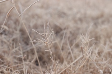 8C2A7EA0-56D3-4341-BD95-0272D78D9DEF/L0/001