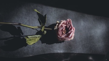 5D62277E-6D47-4EFB-A68F-99127ED2BFD2/L0/001