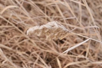 E2B0AB45-91A0-493F-8F1D-0924864878D7/L0/001