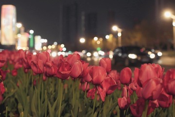 368E912C-B1EA-4BB6-AC76-386CE3D88BFC/L0/001
