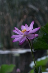 200524
