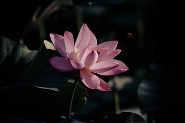 200107